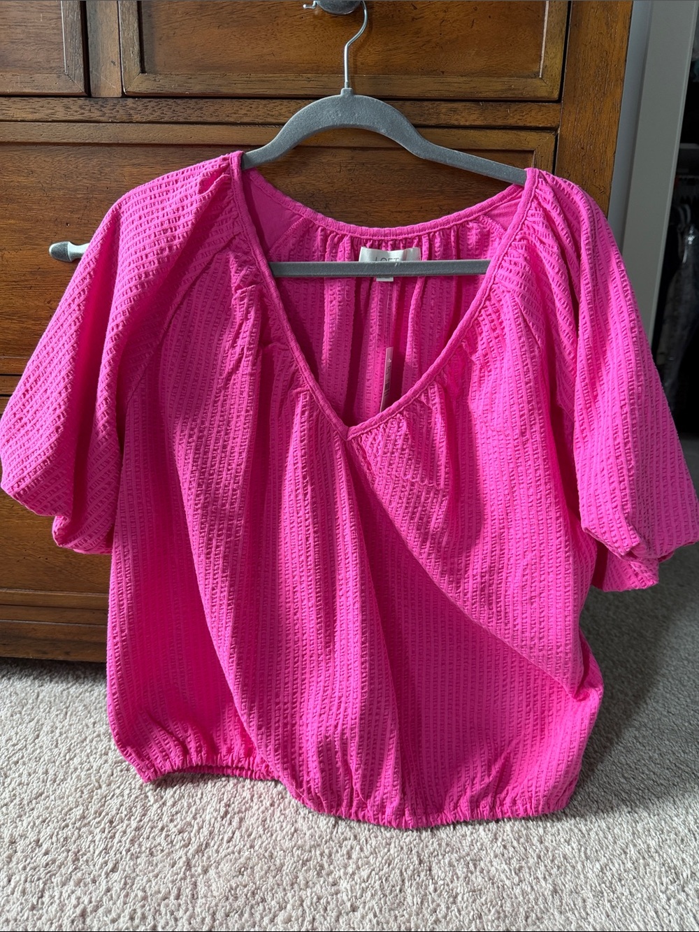 BNWT Loft Women’s Pink V-Neck Textured Blouse